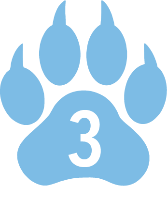 3