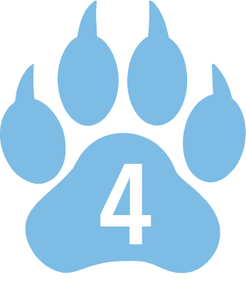 4